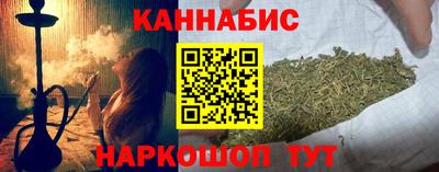 прущие грибы Абакан
