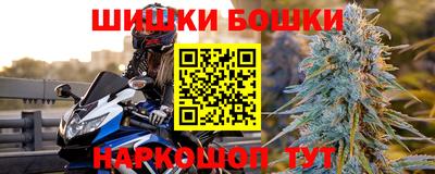 прущие грибы Абакан