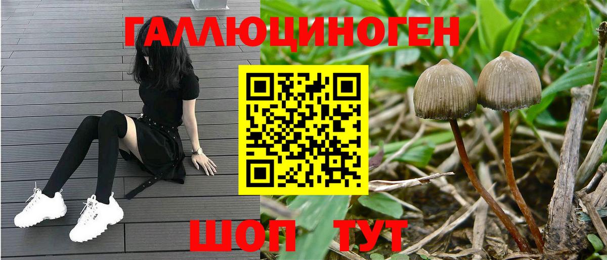Анапа  Галлюциногенные грибы мухоморы  Вход с VPN 